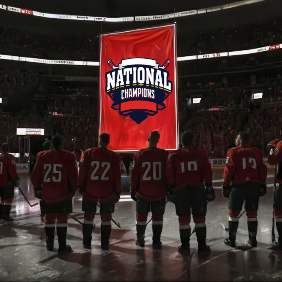 Custom Banner – Display Cloth