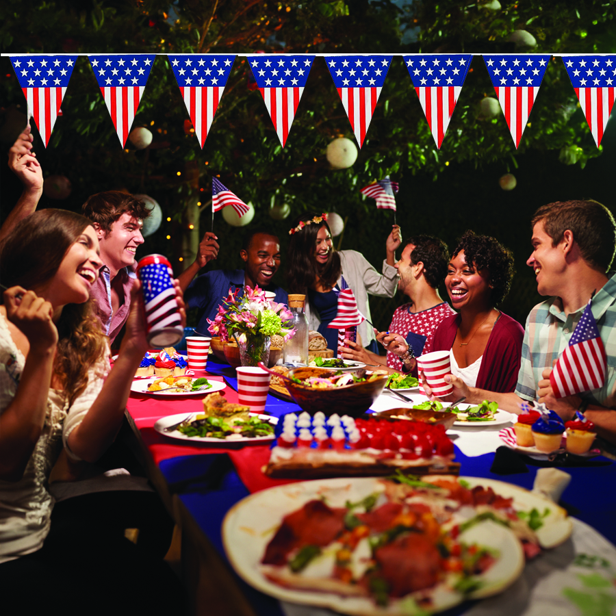 18″ x 12″ Patriotic Flying-V Pennant